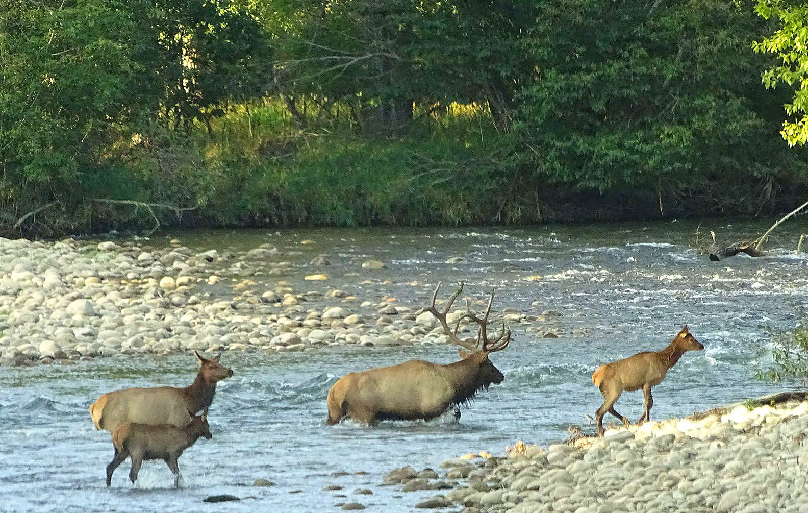 Wildlife refuge